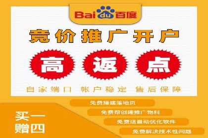 成功SEM托管案例解析